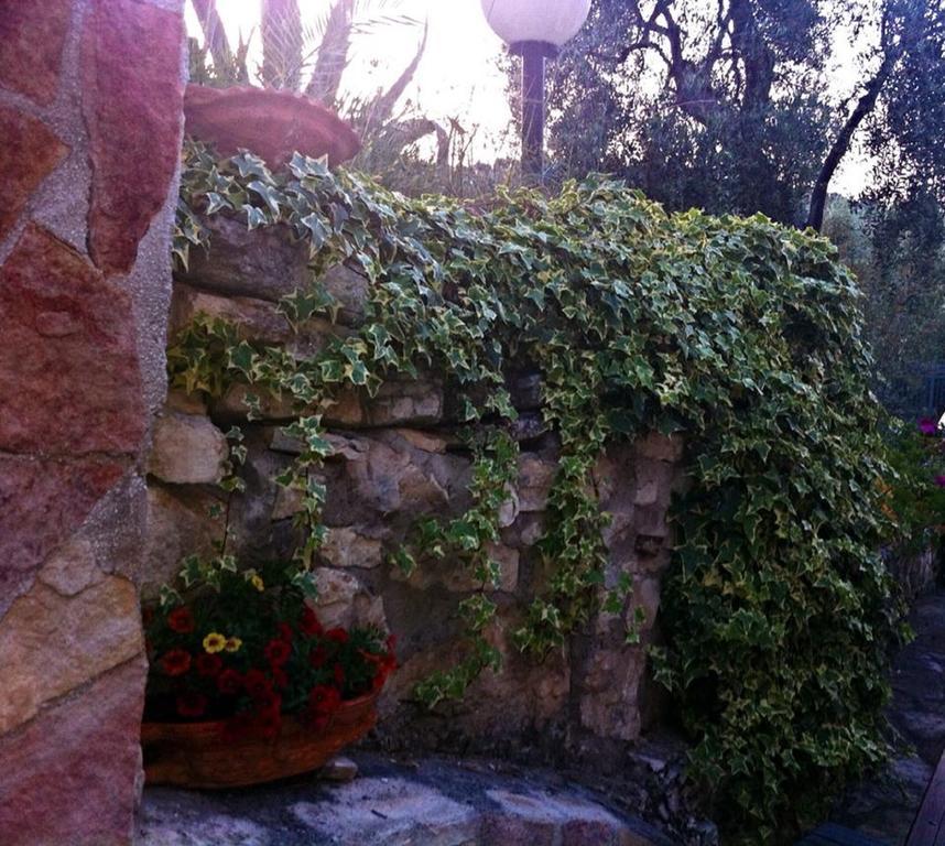 Azienda Agricola B&B Macchiaria Vieste Zewnętrze zdjęcie