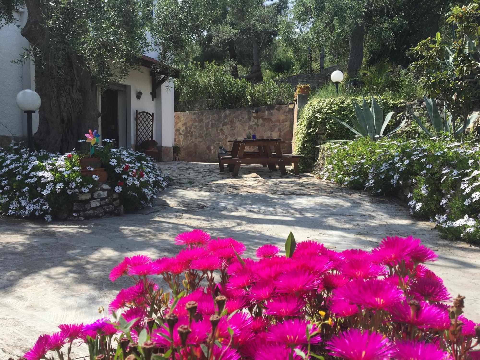 Azienda Agricola B&B Macchiaria Vieste Zewnętrze zdjęcie