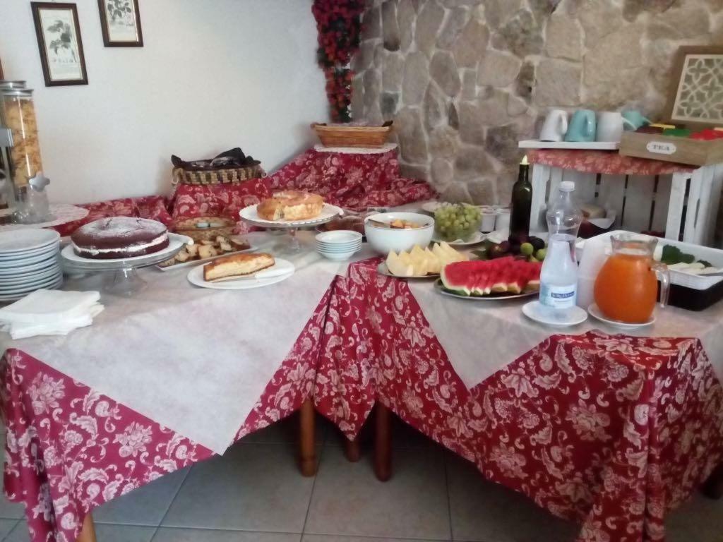 Azienda Agricola B&B Macchiaria Vieste Zewnętrze zdjęcie