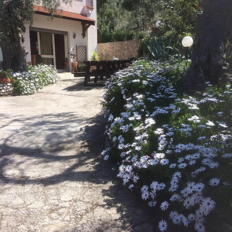 Azienda Agricola B&B Macchiaria Vieste Zewnętrze zdjęcie